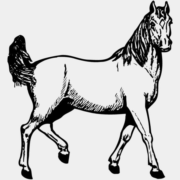 HORSE041 Thumbnail