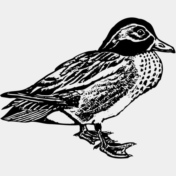 BIRD094 Thumbnail