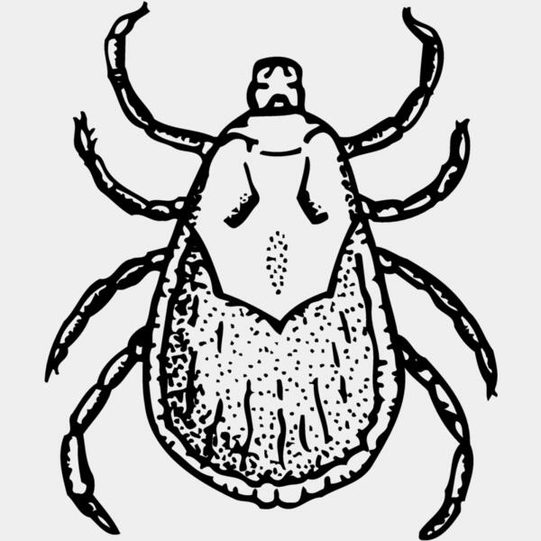 TICK Thumbnail