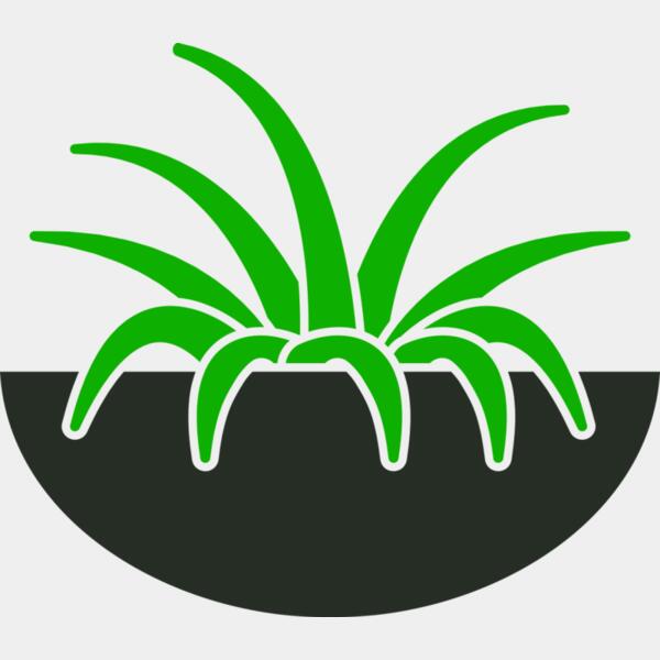Plants 6 Thumbnail