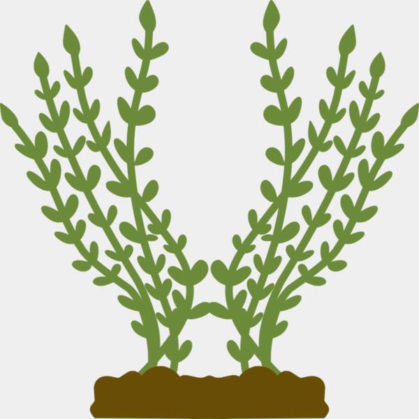 Plants 4 Thumbnail