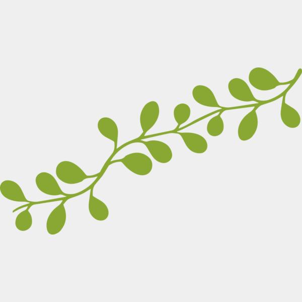 Leaves 13 Thumbnail