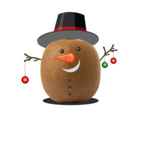 Singlet men Kiwi Christmas Design