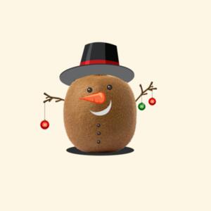 Tote bag Kiwi Christmas Design