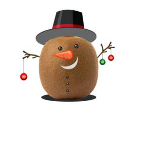 T-shirt kids Kiwi Christmas Design