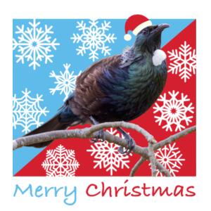 t-shirt kids Tui Merry Christmas Design