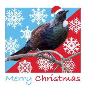 baby bodysuit Tui Merry Christmas Design