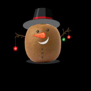 T-shirt men Kiwi Christmas Design
