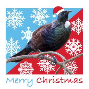 t-shirt men Tui Merry Christmas Design